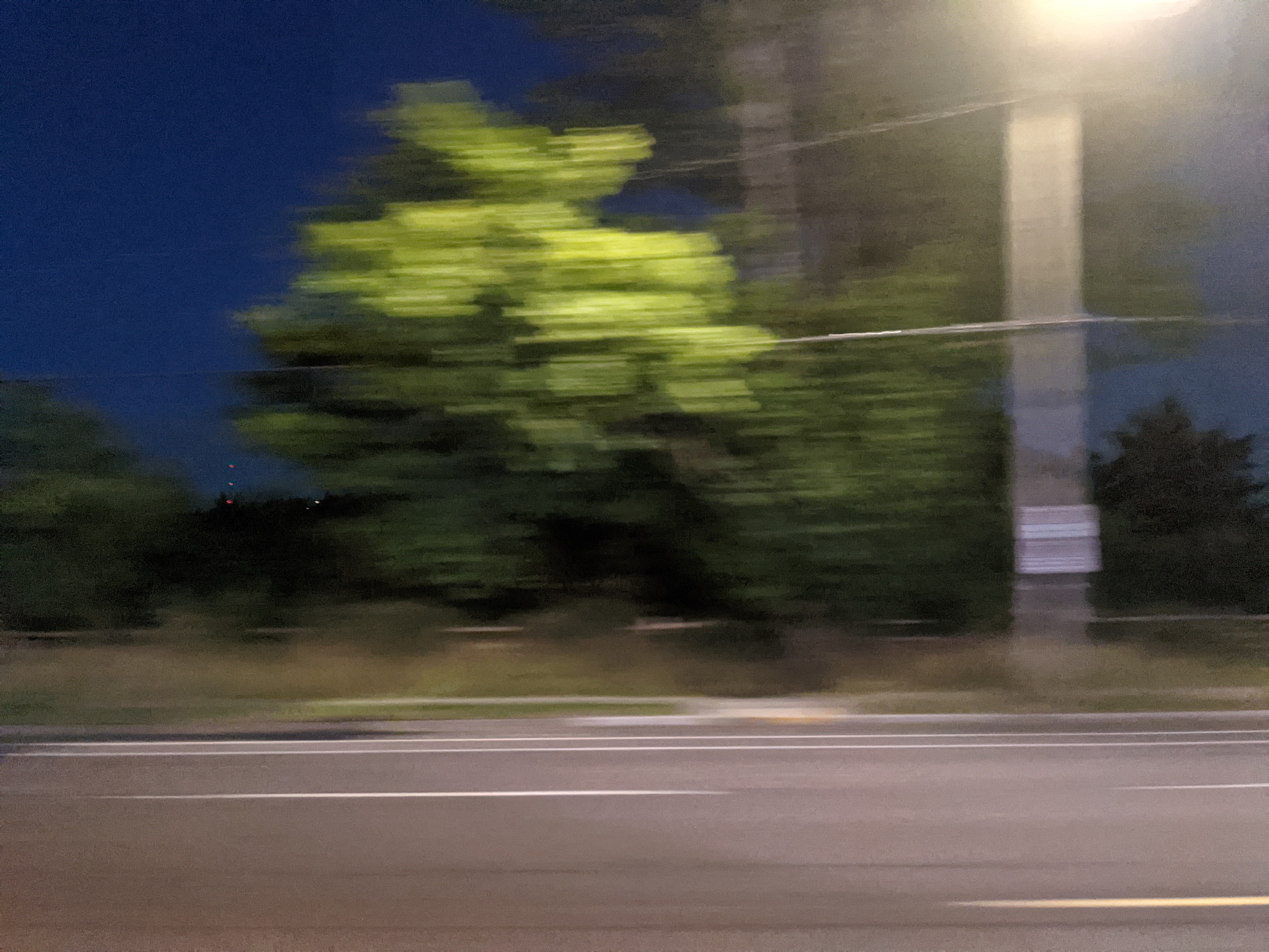A motion blurred photo of large green roadside trees and a bright streetlamp planted amung tall wild grass, under the clear evening sky.